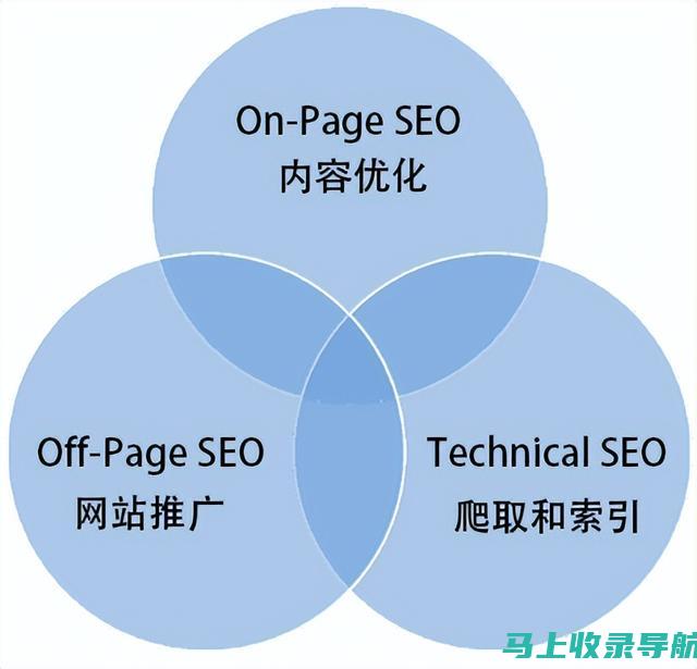 SEO新手进阶：自学书籍关键词实战指南